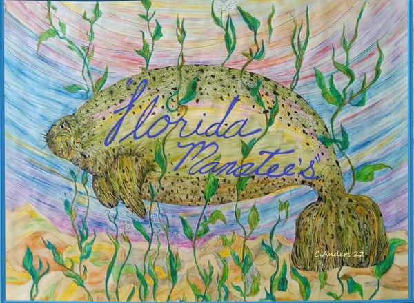 Florida Manatees