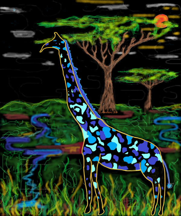 giraffe at night