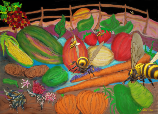 healthy harvest