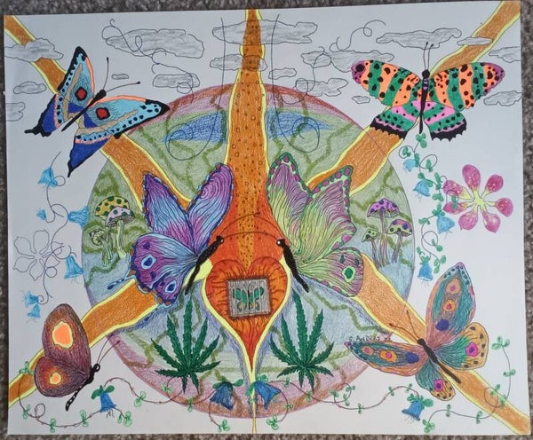 butterfly visiting hours