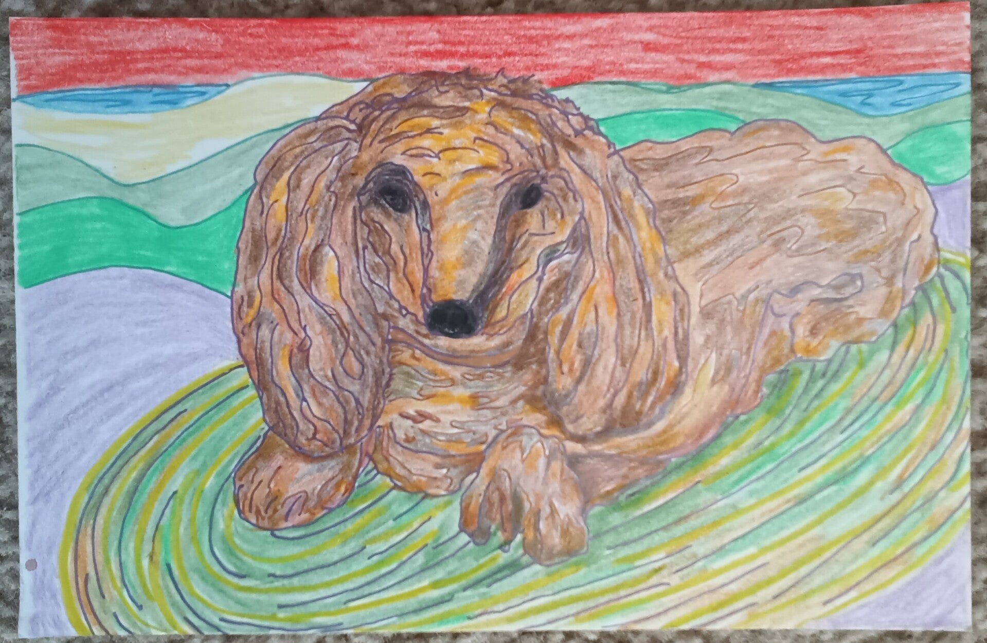 collection of 6 small drawings