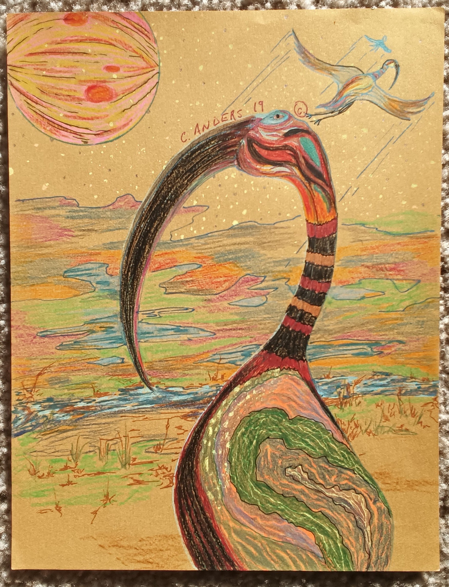 funny big billed bird