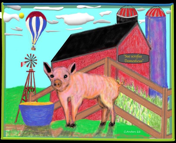 Kim's pig
