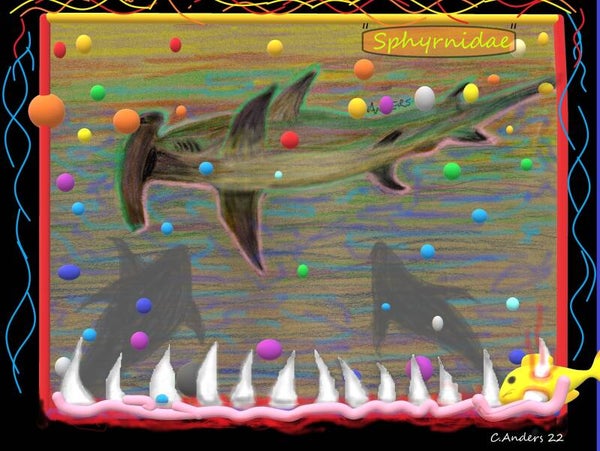 Hammerhead license frame