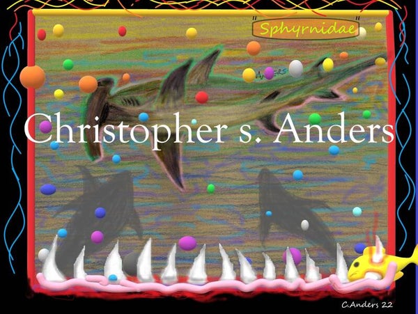 Hammerhead shark license frame