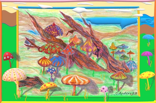 Mushroom super garden