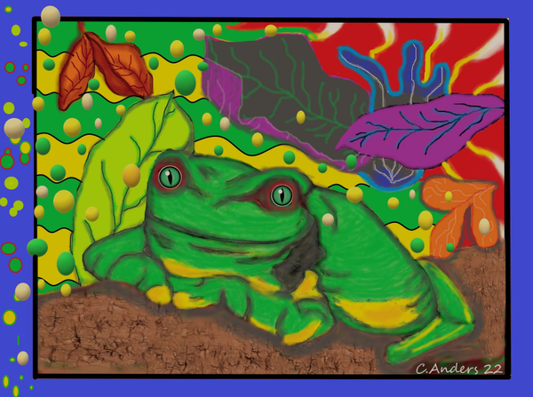 Pac man frog