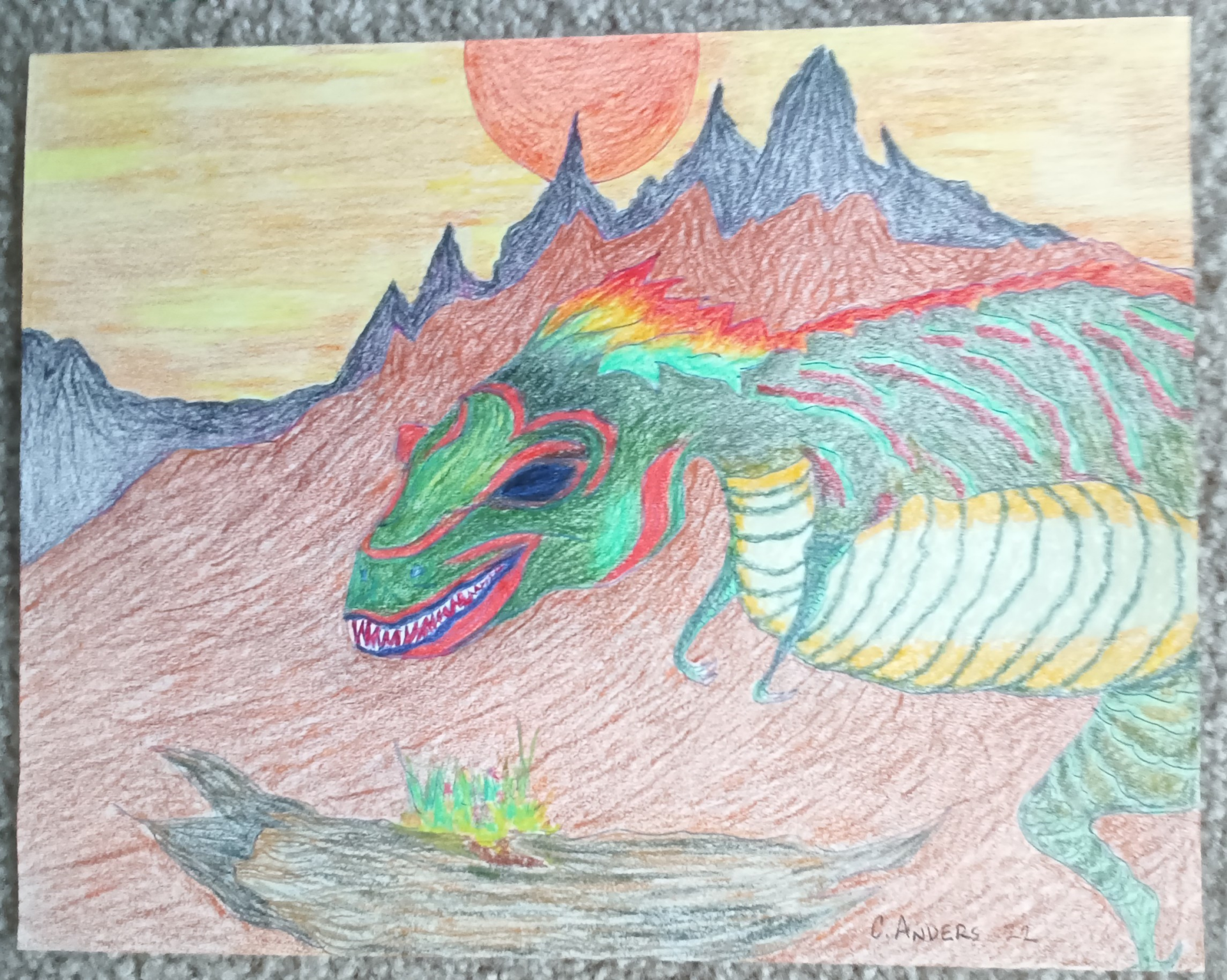 Pach-Sull's big debut