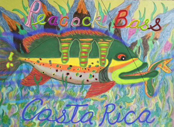 peacock bass