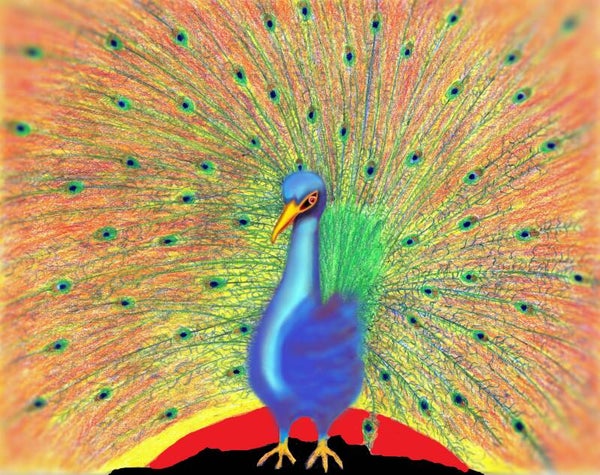 Peacock power original