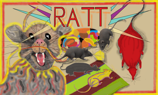 Ratt chasing the cheese