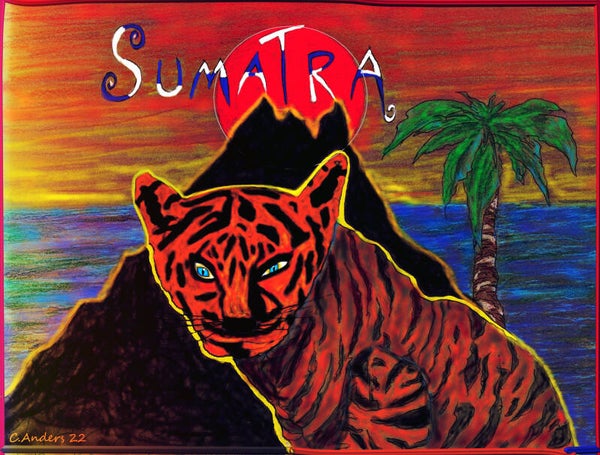 Sumatra tiger