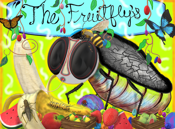 The Fruitfly's