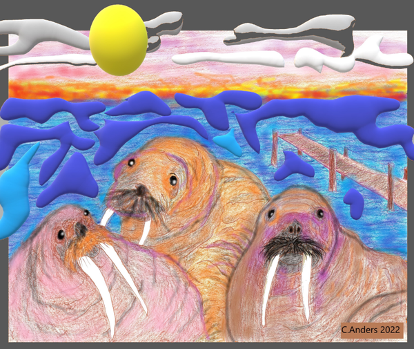 Three walrus's