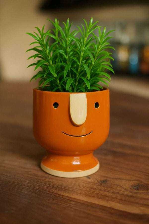 Neus bloempot oranje circa 10cm | ex plant