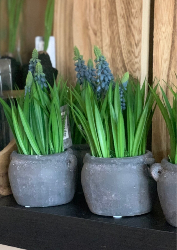 stenen potje ex Blauwe druifjes