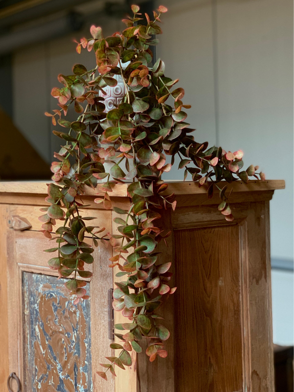 Sobere eucalyptus hangplant | Kunst