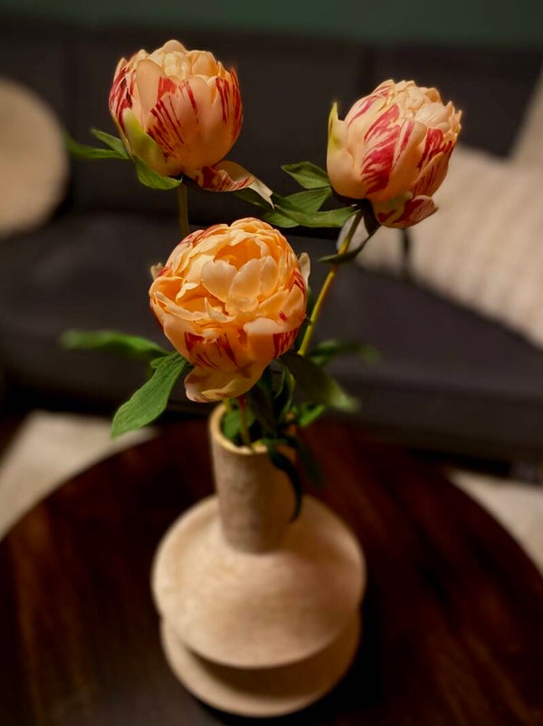 Luxe pioenrozen peach kleur | bos van 3