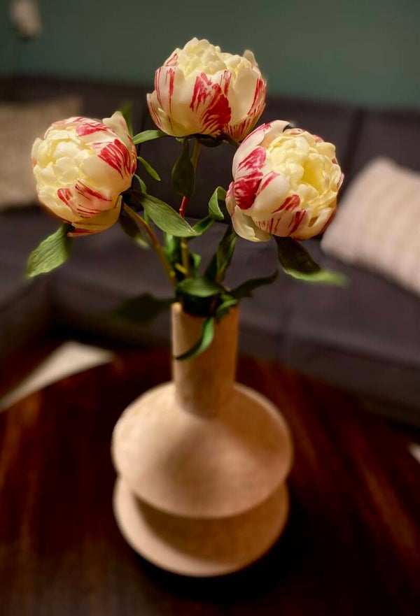 Luxe Pioenrozen | bos van 3