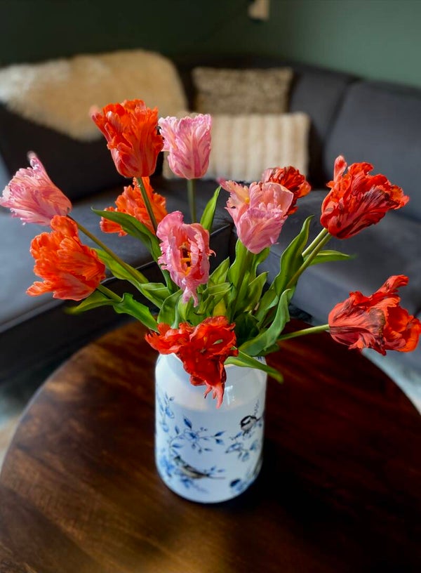 Luxe Parrot tulpen | rood, oranje, roze mix