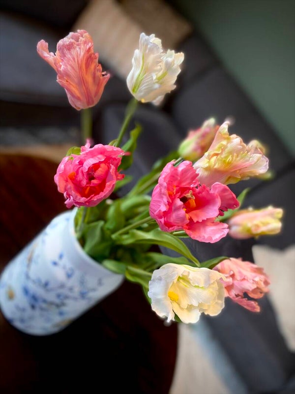 Luxe Parrot tulpen | pastel roze mix