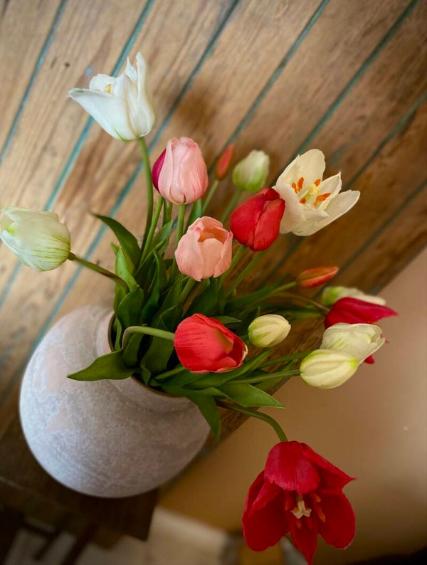 Dik bos oer-Hollandse tulpen!