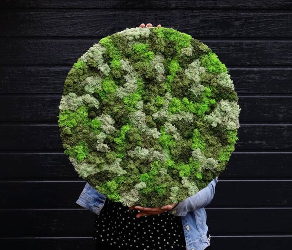 Thuisworkshop mosschilderij