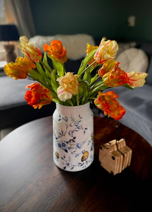 Luxe Parrot tulpen | Oranje, rood