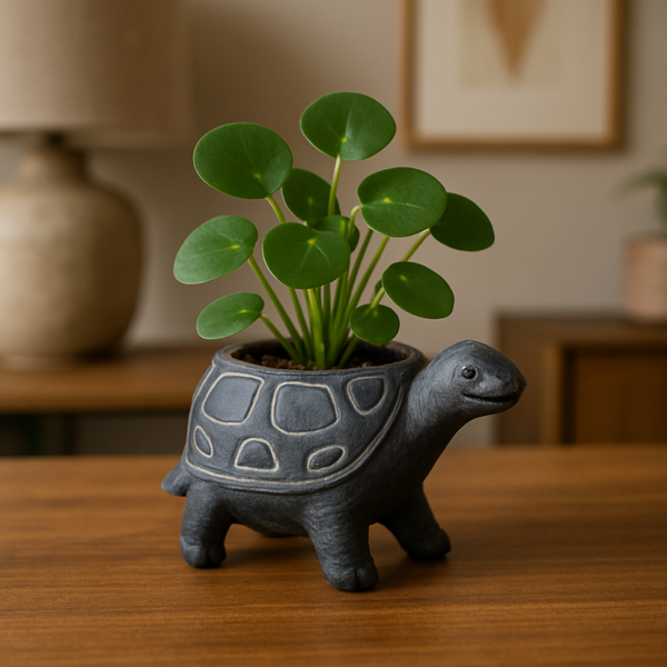 Schildpad bloempot - 15cm