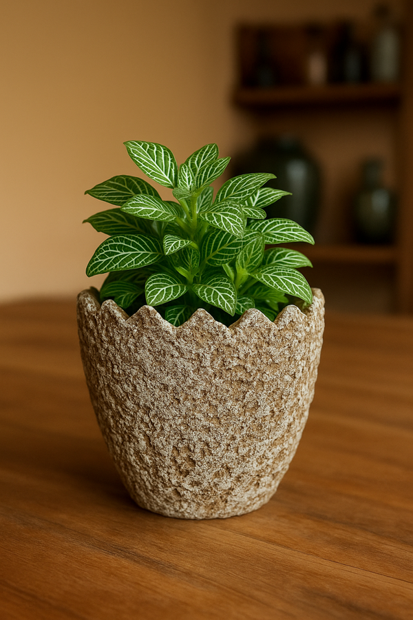 Betonnen half ei bloempot