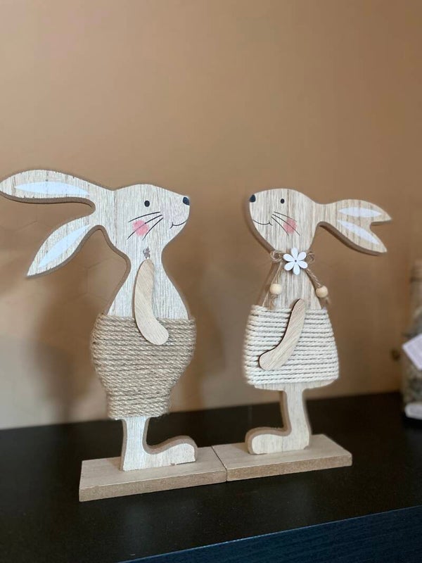 Set jongentje en meisje haas