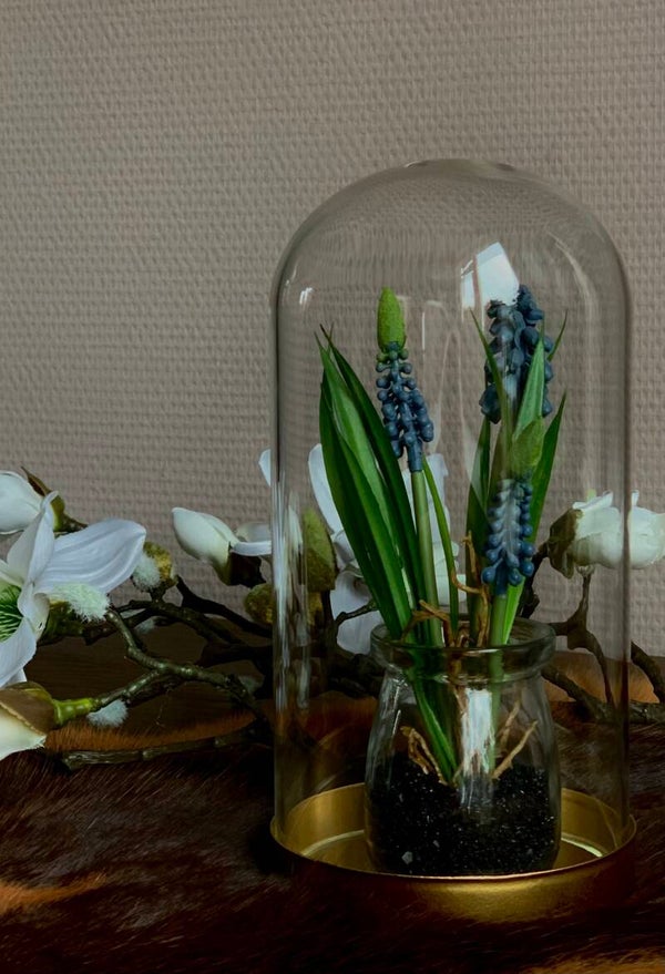 Stolp met blauwe druifjes plantje / 20cm H