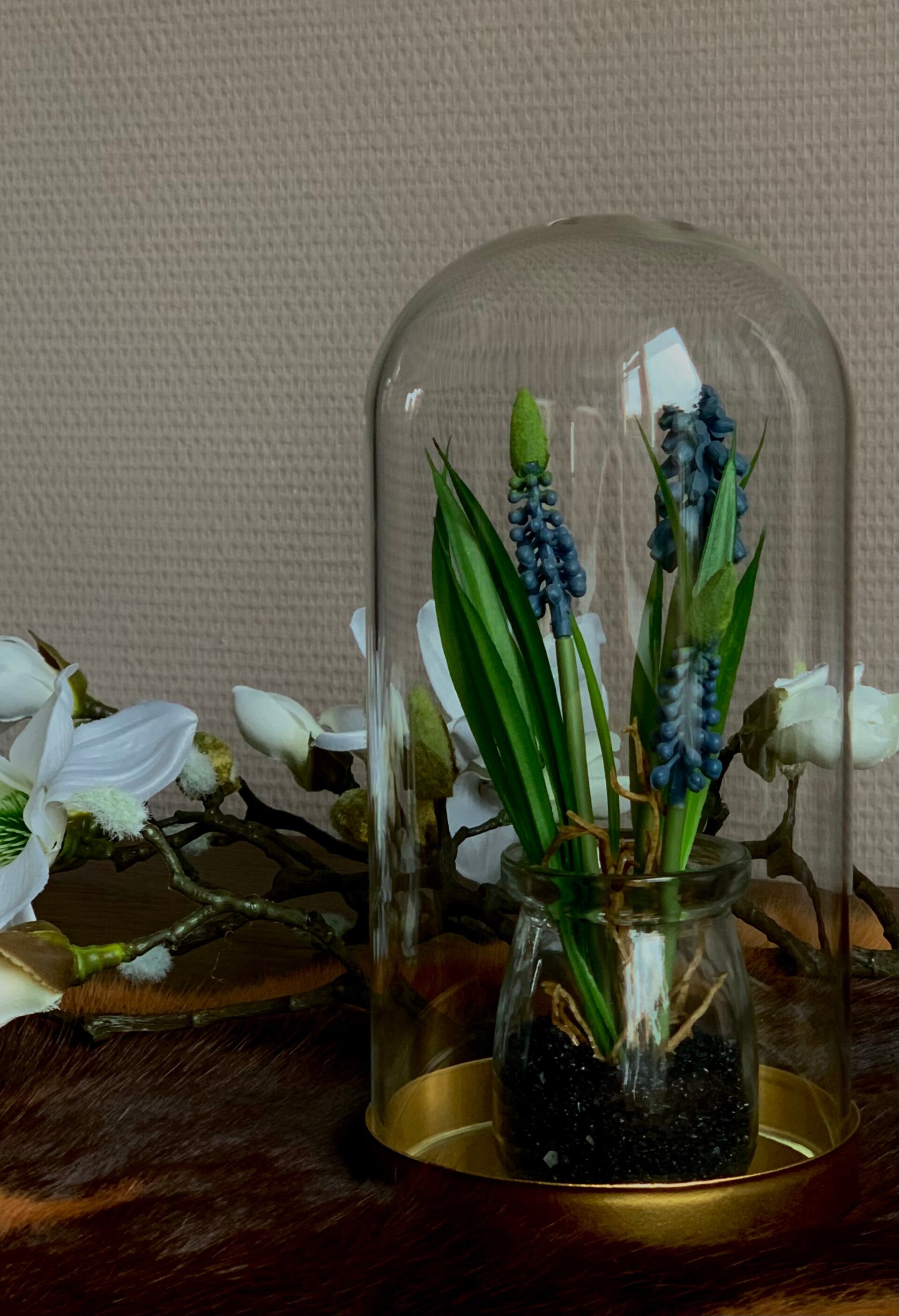 Stolp met blauwe druifjes plantje / 20cm H