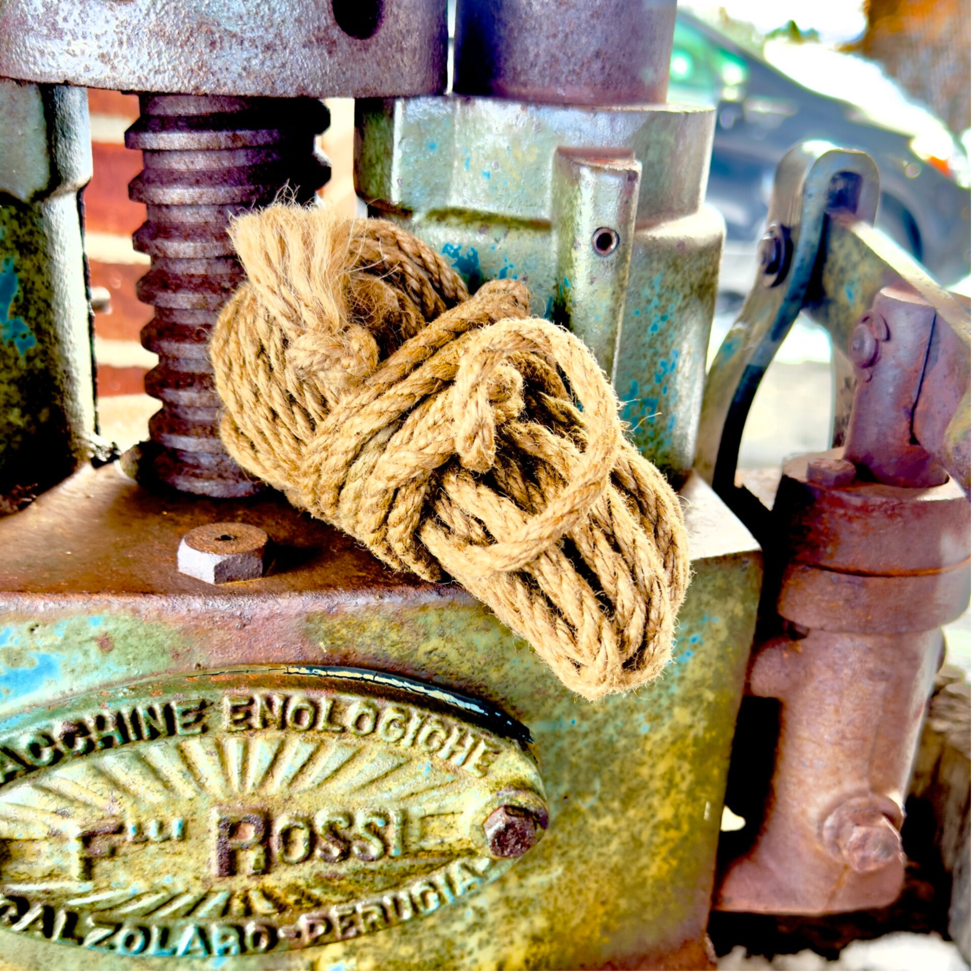 Anchor & Align — 6mm Hand-Conditioned, Energetically clean, Natural Jute Rope (28' Hanks)