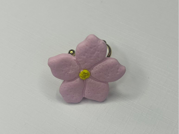 Anillo VIENA
