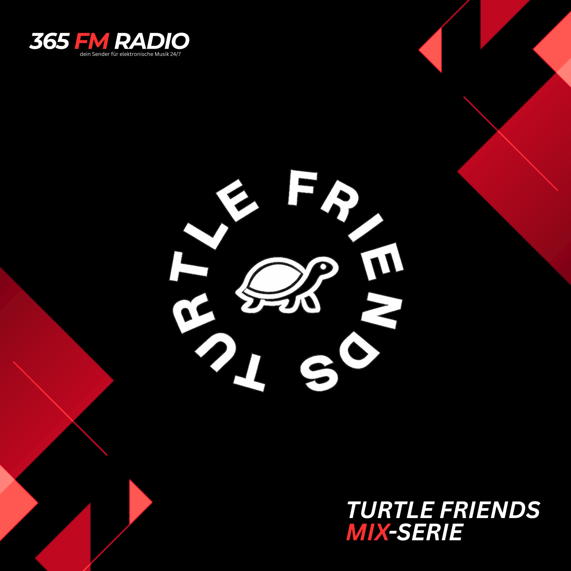 Turtle Friends