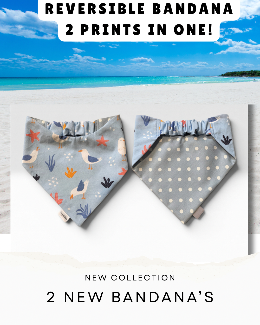 Sea Gull & Polka Dots Bandana