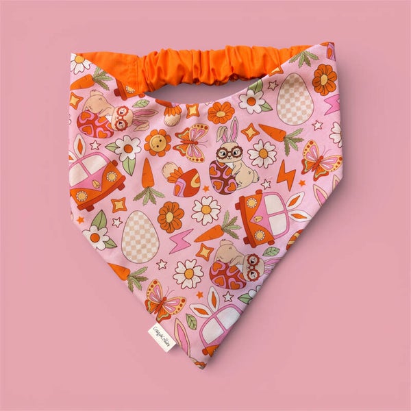 Groovy Bunny’s Bandana