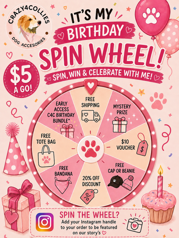 Spin the Wheel Ticket