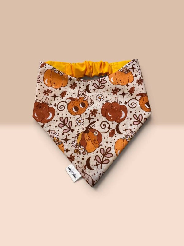 Pumpkin Paws Bandana 🎃