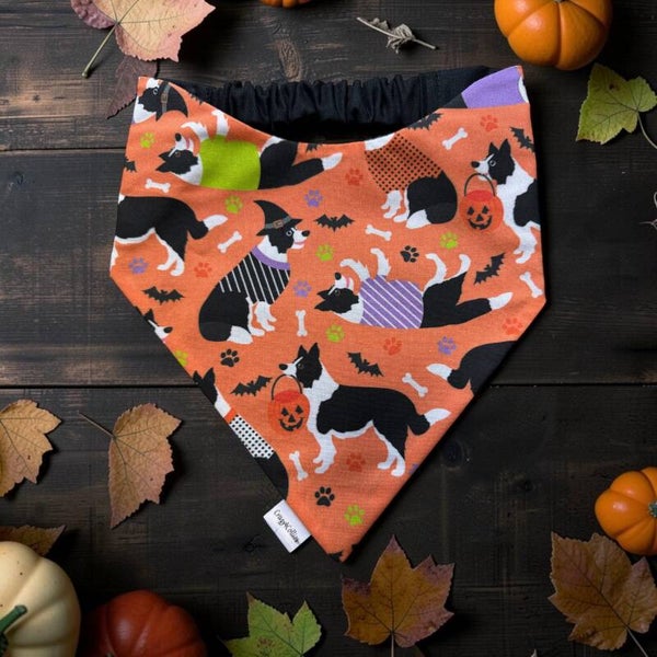 🎃 Collieween
