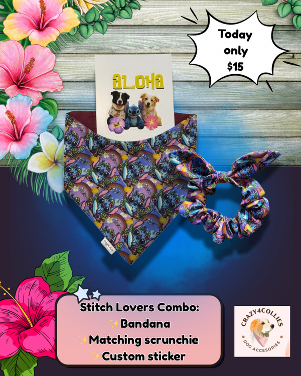 🌺 STITCH LOVERS COMBO 🌺