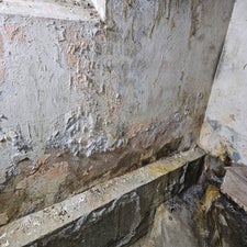 20250217_091948-standard-p64ie0.jpg