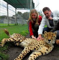 Travel to South Africa with ShapShap Travel