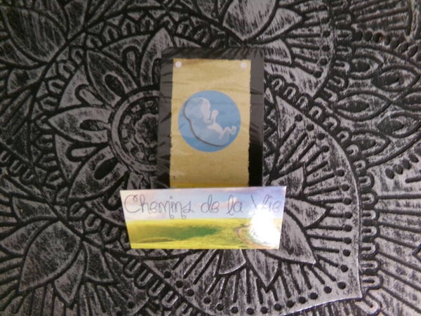 Petit Oracle Chemin de la Vie NEUF