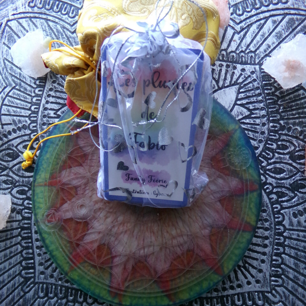 L'ORACLE DES PLUMES FANNY FEERIES CARTOMANCIE NEUF