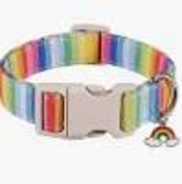 Regenbogen Halsband verschiedene Größen