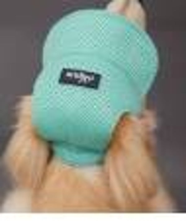 Mesh Kappe für Hunde mit Ohrloch
