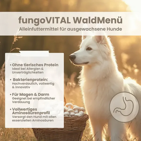 fungoVITAL Waldmenü Trockenfutter
