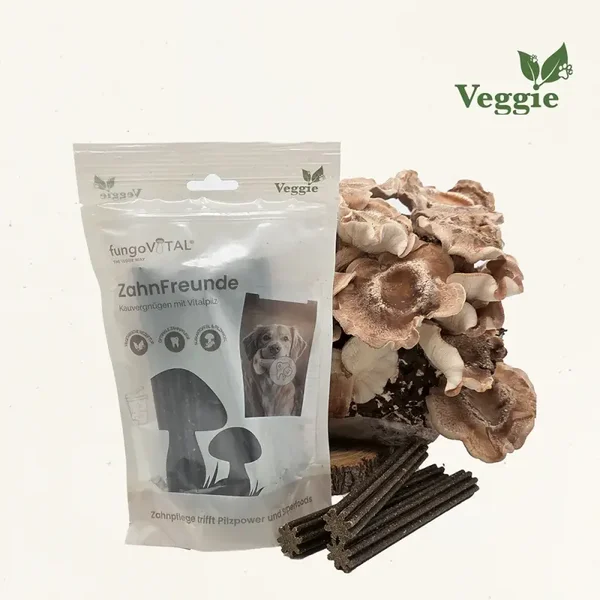 fungoVITAL ZahnFreunde 180g